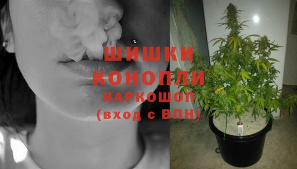 бутират Белокуриха