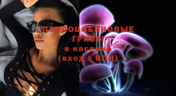 прущие крисы Беломорск