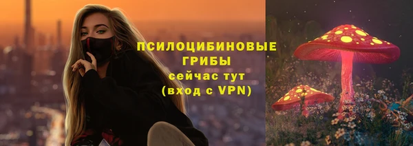 прущие крисы Беломорск