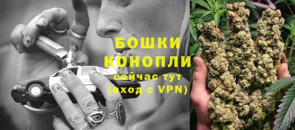 прущие крисы Беломорск
