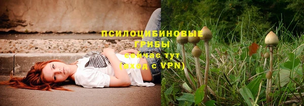 ГАЛЛЮЦИНОГЕННЫЕ ГРИБЫ Белоозёрский