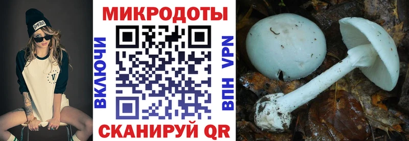 Галлюциногенные грибы MAGIC MUSHROOMS  сайты даркнета официальный сайт  Саяногорск  цены  